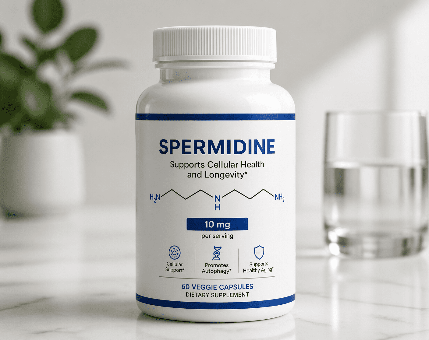 Images of spermidine-rich foods like whole grains, legumes, mushrooms, and fermented products surrounding human cells, highlighting cellular renewal and autophagy processes.